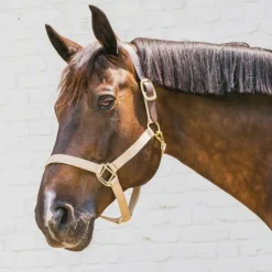 Online Kentucky Horsewear - Licol nylon Breakaway Beige