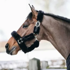 Kentucky Horsewear - Licol de transport mouton Noir