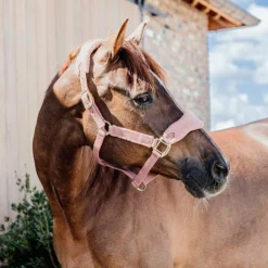 Hot Kentucky Horsewear - Licol polaire Teddy vieux Rose