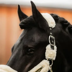 Clearance Kentucky Horsewear - Licol de transport mouton blanc Ecru