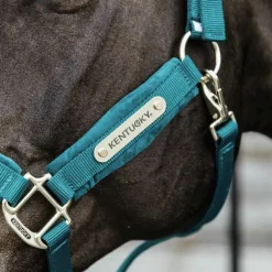 Kentucky Horsewear - Licol Velvet émeraude Bleu New