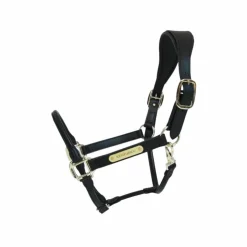 Outlet Kentucky Horsewear - Licol anatomique en cuir vegan noir