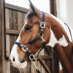 Online Kentucky Horsewear - Licol nylon tressé Marine