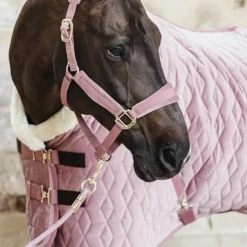Hot Kentucky Horsewear - Licol Velvet vieux Rose