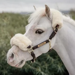 New Kentucky Horsewear - Licol en cuir mouton pour Minis