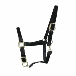 Kentucky Horsewear - Licol cheval nylon tressé Noir