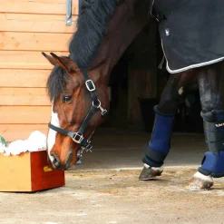 Kentucky Horsewear - Licol cheval nylon tressé Noir
