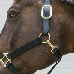 Kentucky Horsewear - Licol nylon Breakaway Noir Best