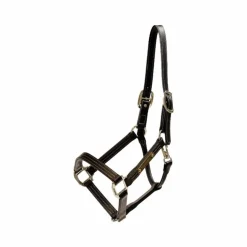 Kentucky Horsewear - Licol en cuir Wellington brun Marron Hot