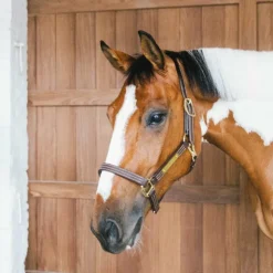 Kentucky Horsewear - Licol en cuir Wellington brun Marron Hot