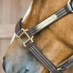 Kentucky Horsewear - Licol en cuir Wellington brun Marron Hot