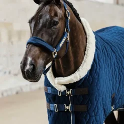 Sale Kentucky Horsewear - Licol Velvet Marine