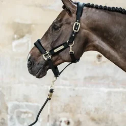 Kentucky Horsewear - Licol Velvet Noir Online