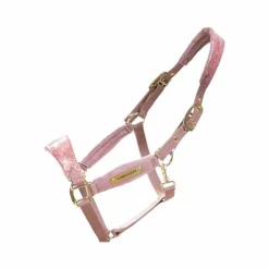 Kentucky Horsewear - Licol velvet paillette vieux Rose Online