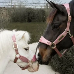 Kentucky Horsewear - Licol velvet paillette vieux Rose Online