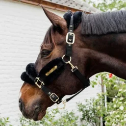 Outlet Kentucky Horsewear - Licol nylon mouton soft Noir