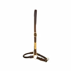 Discount Kentucky Horsewear - Licol de pansage Marron