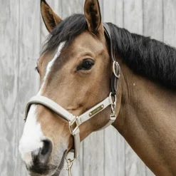 Discount Kentucky Horsewear - Licol anatomique nylon Beige