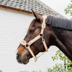 Best Kentucky Horsewear - Licol polaire Teddy Beige