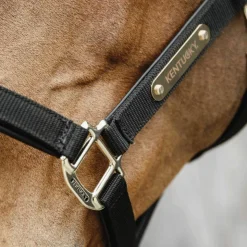 Kentucky Horsewear - Licol anatomique nylon Noir Outlet