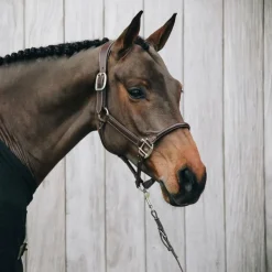 Kentucky Horsewear - Licol cheval anatomique Marron Online