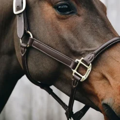Kentucky Horsewear - Licol cheval anatomique Marron Online