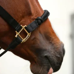 Best Kentucky Horsewear - Licol cheval Control Noir