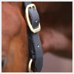 Best Kentucky Horsewear - Licol cheval Control Noir