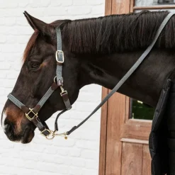 Kentucky Horsewear - Longe nylon tressé 2 m Gris New