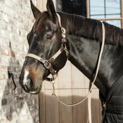 Best Kentucky Horsewear - Longe de nylon tressé Beige