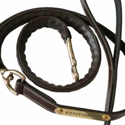 Hot Kentucky Horsewear - Longe de présentation recouverte de cuir Marron