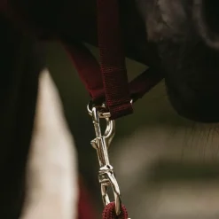 Kentucky Horsewear - Longe nylon 2m Bordeaux New