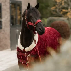 Kentucky Horsewear - Longe nylon 2m Bordeaux New