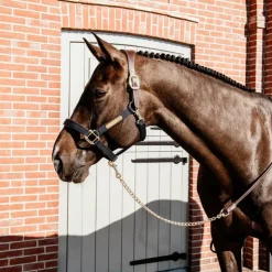 Outlet Kentucky Horsewear - Longe de présentation Marron