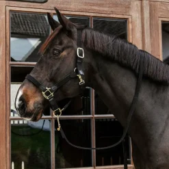 Kentucky Horsewear - Longe en nylon tressé noir 2 m