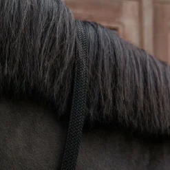 Kentucky Horsewear - Longe en nylon tressé noir 2 m