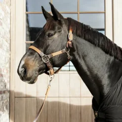 Kentucky Horsewear - Longe de nylon tressé Orange Discount