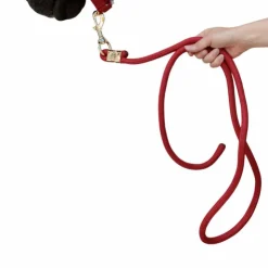 Discount Kentucky Horsewear - Longe Rope Basic 2m Rouge