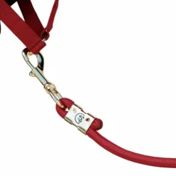 Discount Kentucky Horsewear - Longe Rope Basic 2m Rouge