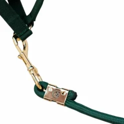 Kentucky Horsewear - Longe Rope Basic pine green 2m Vert Best