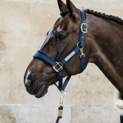 Kentucky Horsewear - Longe nylon 2m Velvet Marine Clearance