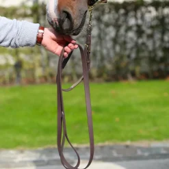 Kentucky Horsewear - Longe de présentation