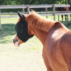 Kentucky Horsewear - Masque anti-mouches Slim Fit poneys Noir Hot