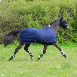 New Kentucky Horsewear - Masque anti-mouches Slim Fit Noir