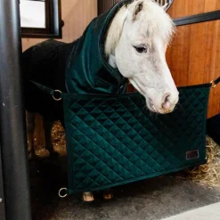 Kentucky Horsewear - Porte de box foncé Vert