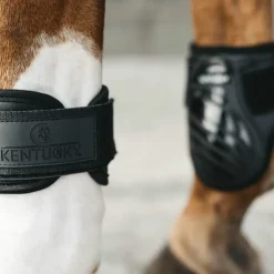 Online Kentucky Horsewear - Protège-boulets jeunes chevaux Noir