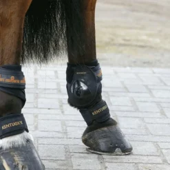 New Kentucky Horsewear - Protège-paturons Noir