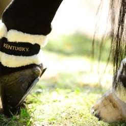 Best Kentucky Horsewear - Protège-paturons mouton Noir