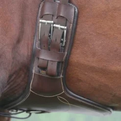 Kentucky Horsewear - Sangle bavette courte Marron Online