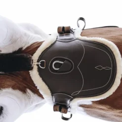 New Kentucky Horsewear - Sangle bavette courte mouton Marron